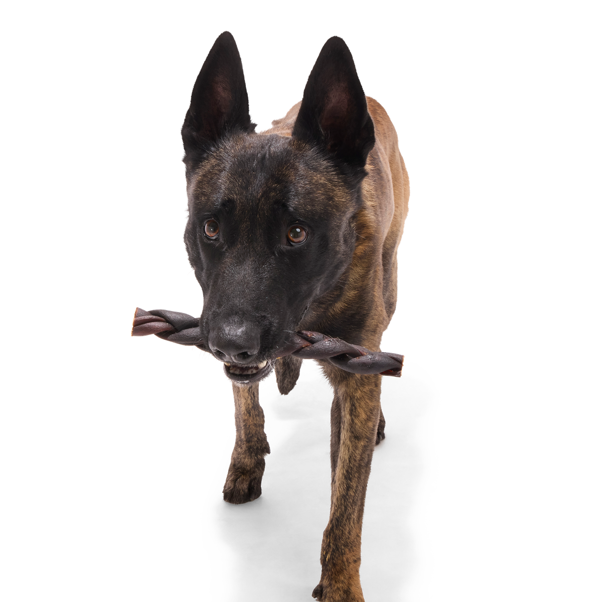 Beef Braided Collagen Dog Chews. 5 Ct - Image 12