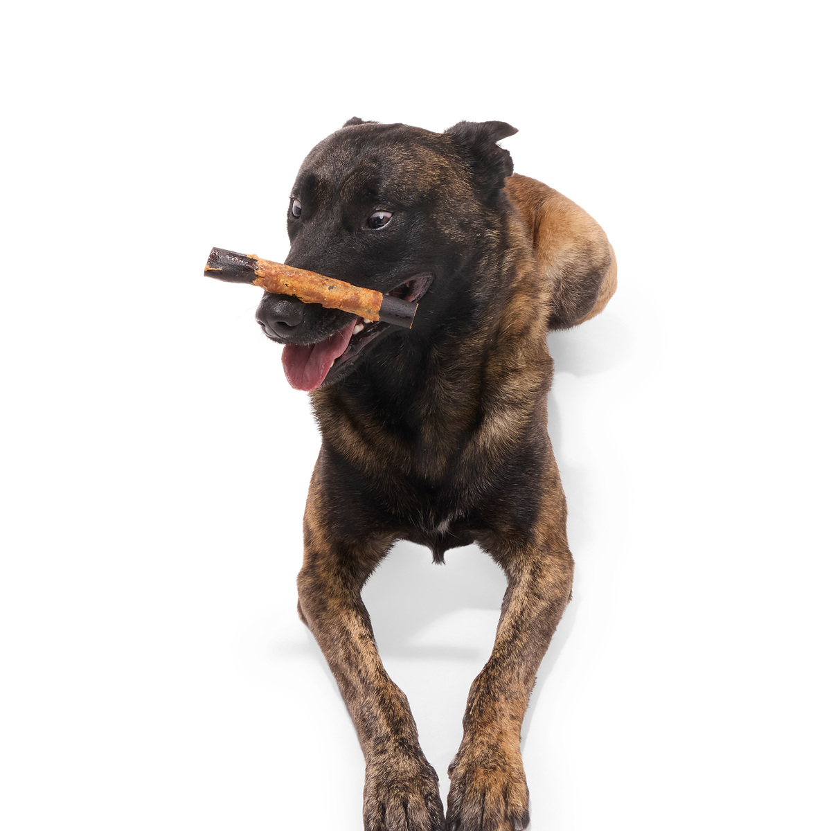 Variety Pack Collagen Dog Chews. 3 Ct - Image 4
