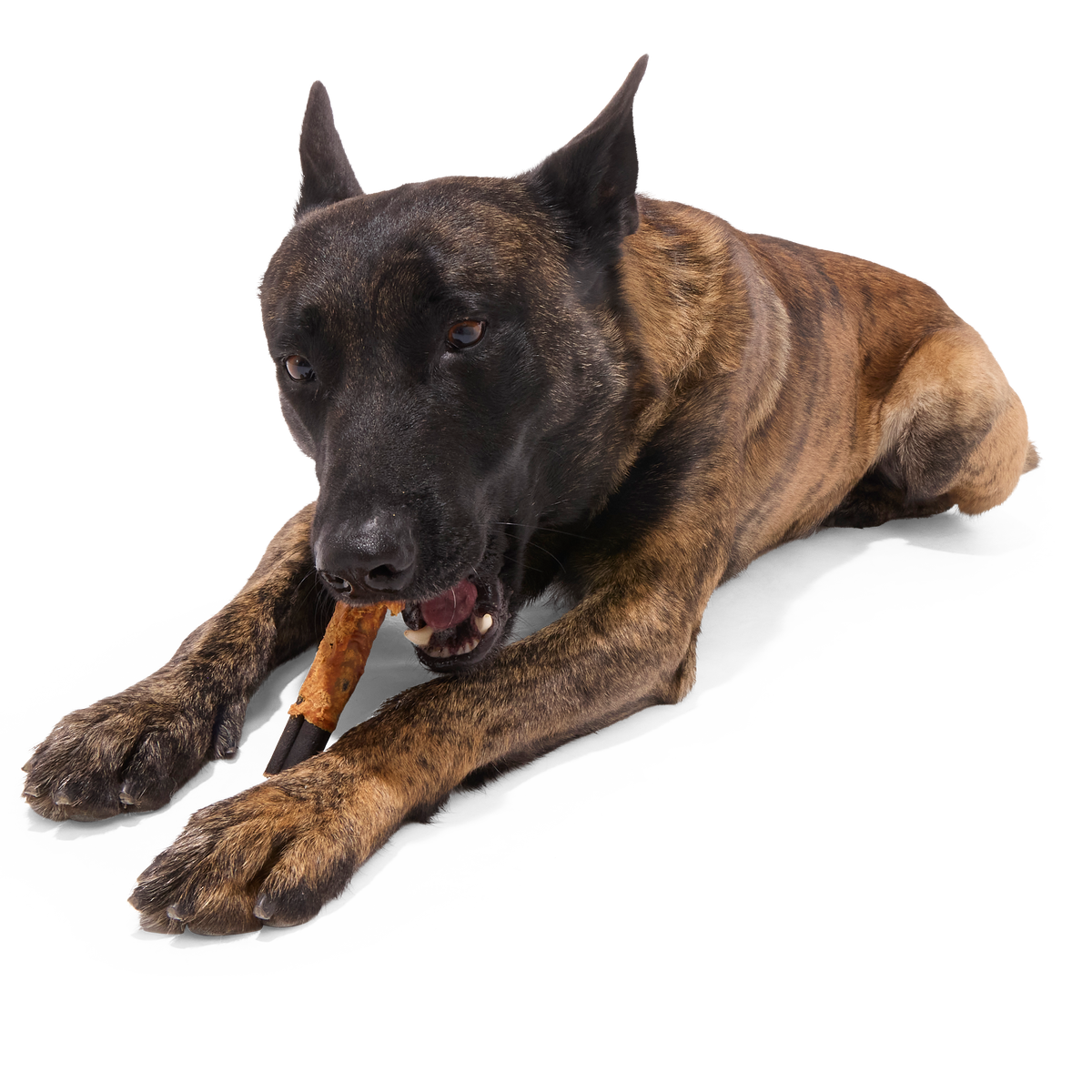 Variety Pack Collagen Dog Chews. 3 Ct - Image 3