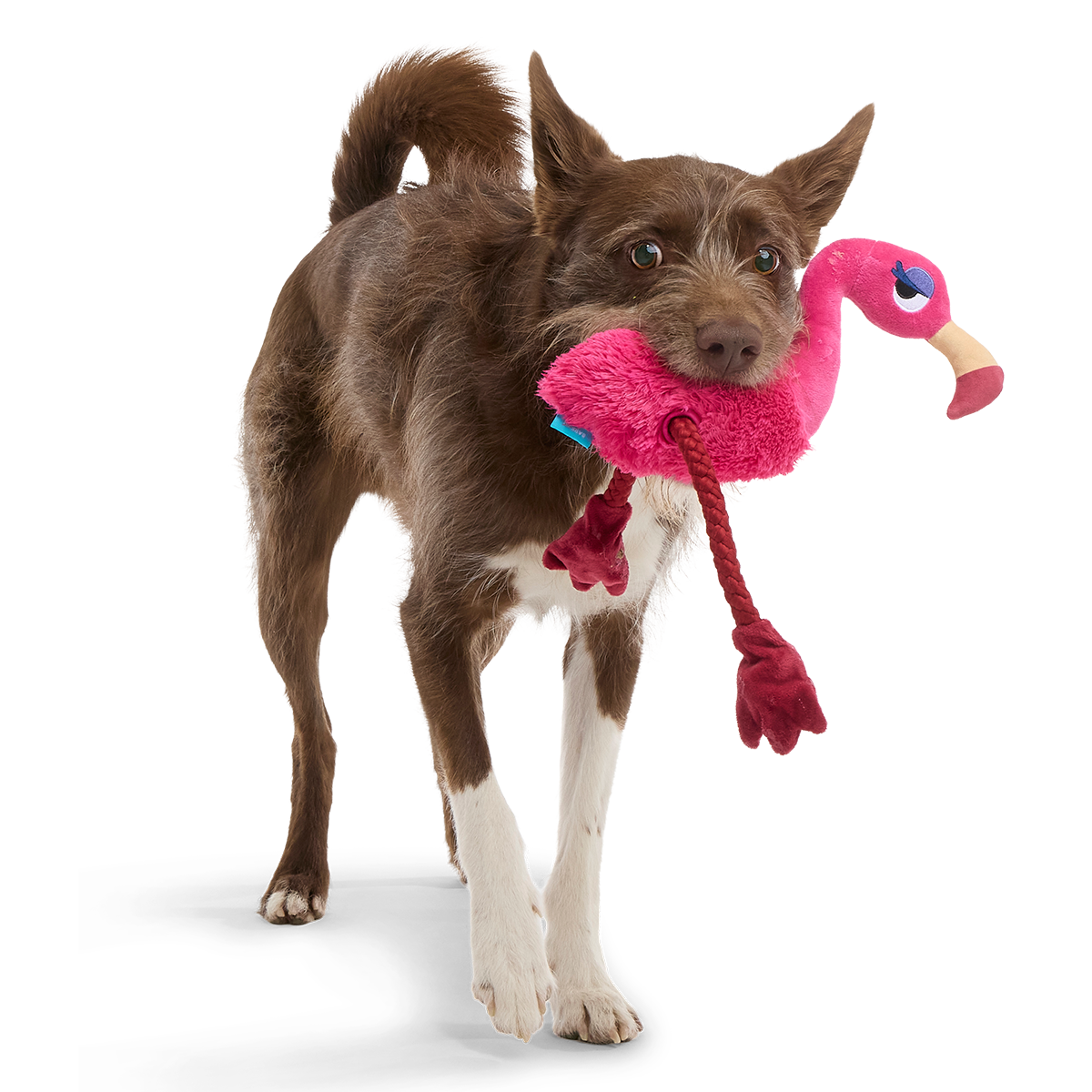 Fahari Flamingo Plush Extra-Large + Tug Dog Toy