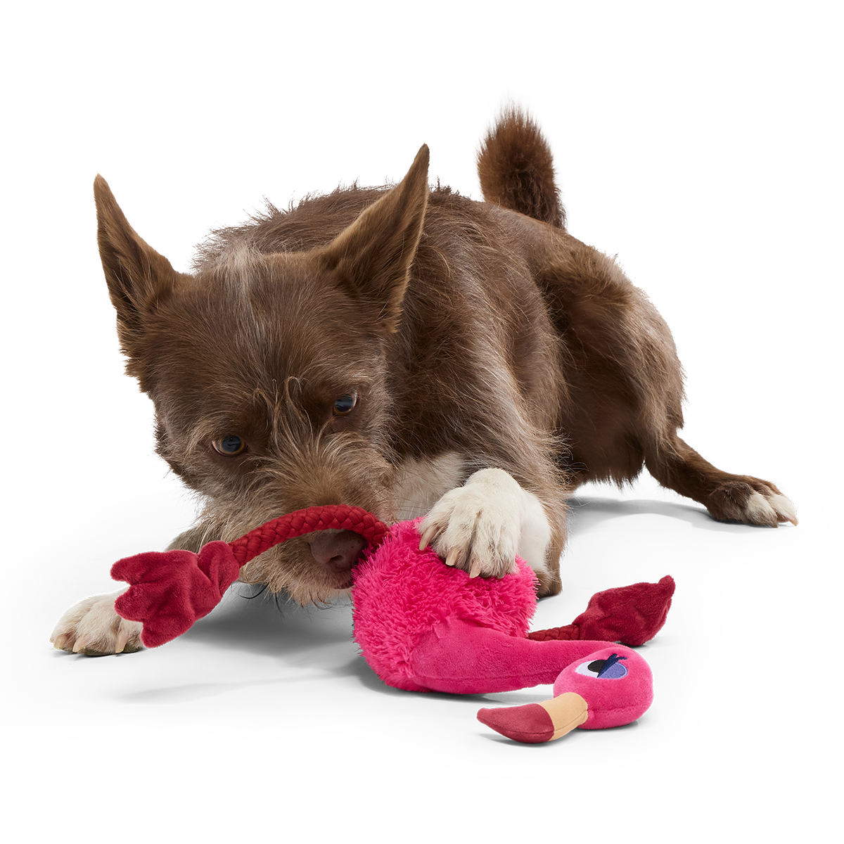 Fahari Flamingo Plush Extra-Large + Tug Dog Toy - Image 3