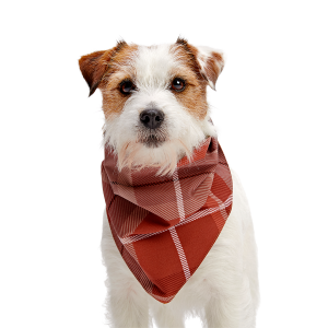 Fall Reversible Dog Bandana