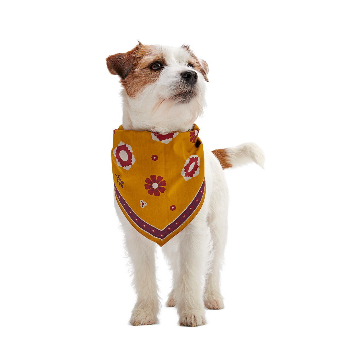 Fall Reversible Dog Bandana - Image 5