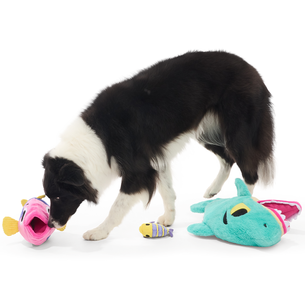 Feeding Frenzy Plush Extra-Large + Multi-Part + Enrichment Dog Toy - Image 2