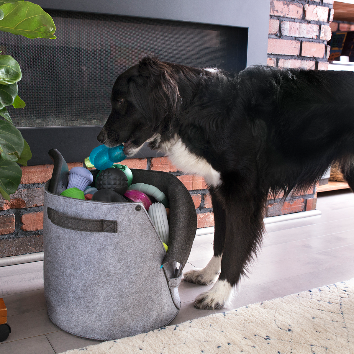 Felt Dog Toy Bin - Image 6
