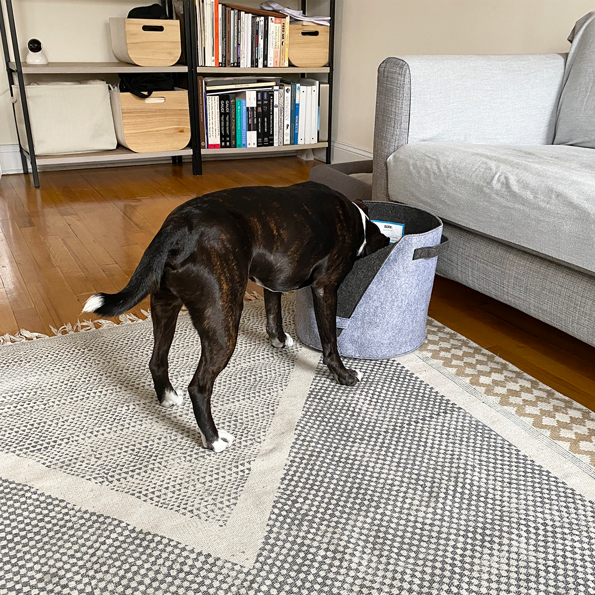 Felt Dog Toy Bin - Image 8