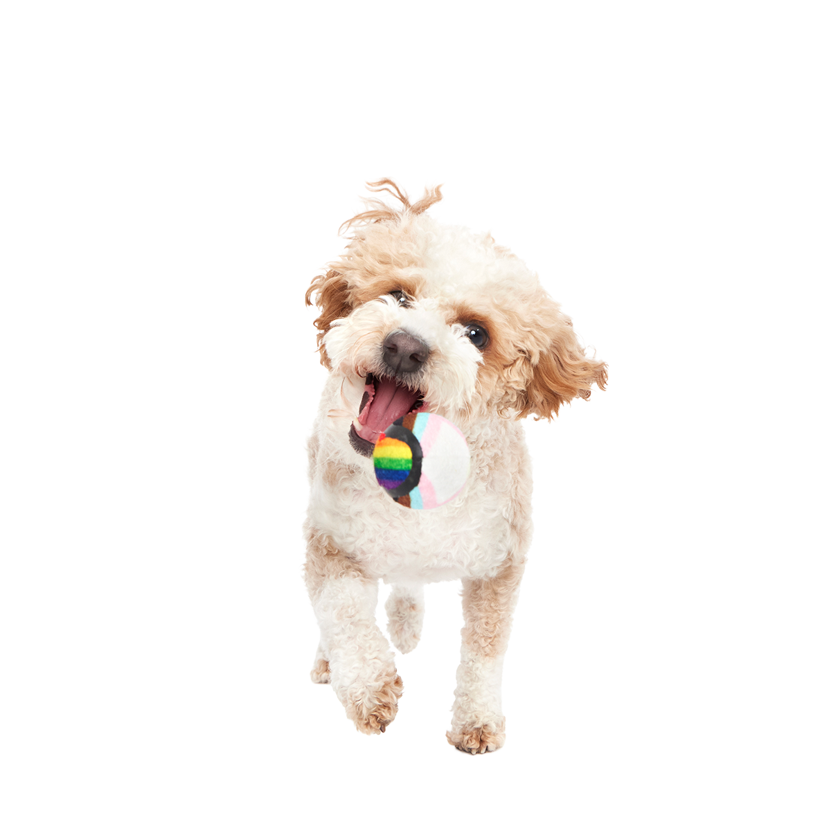 Fetch is Fetch Plush Multi-Part Dog Toy - Image 7