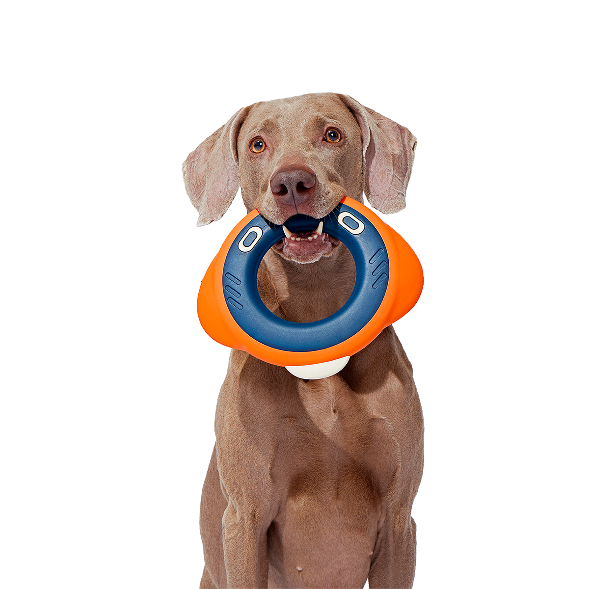 Flingray Super Chewer Durable Fetch Dog Toy - Image 2