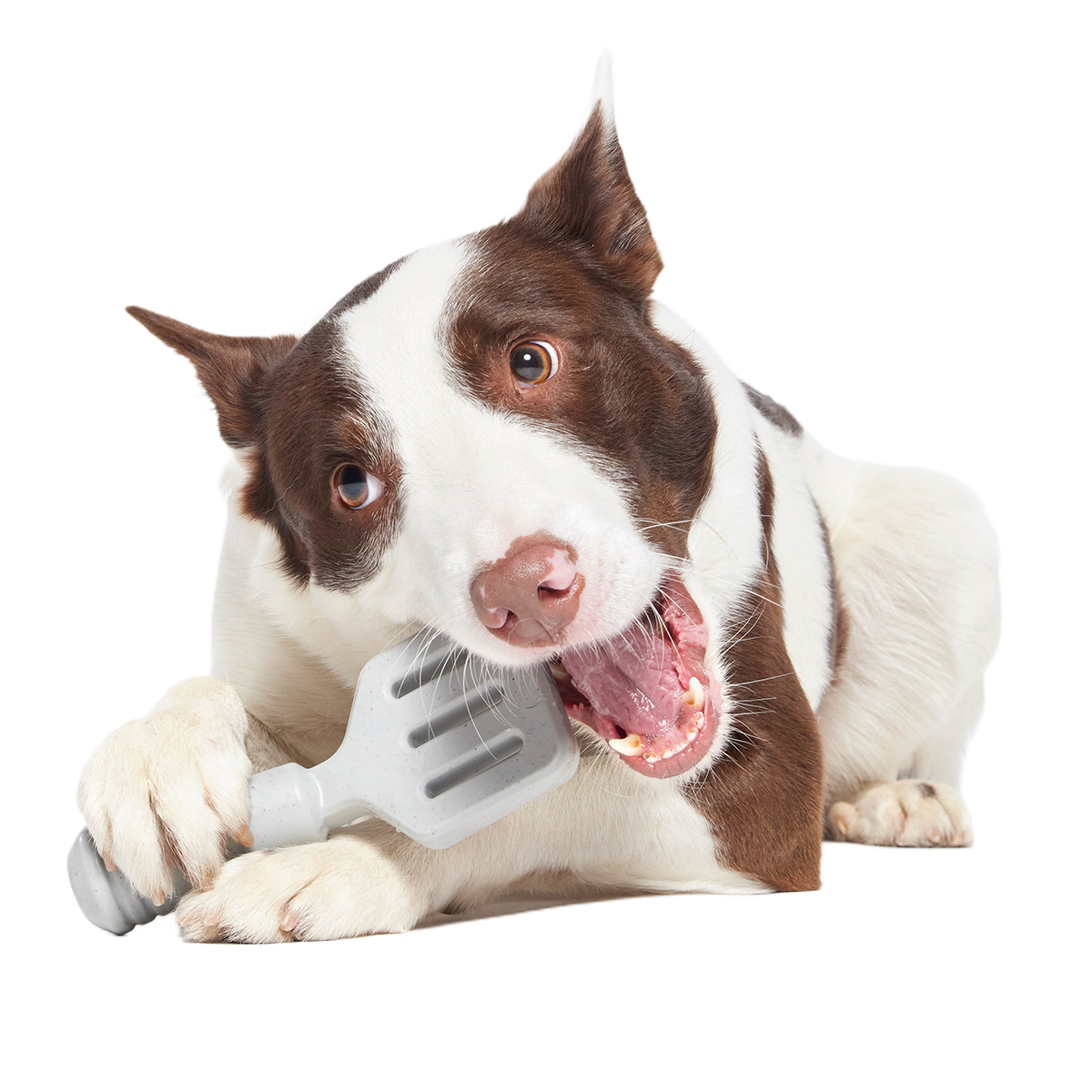 Flip It Good Spatula Super Chewer Durable Gnaw Dog Toy - Image 3