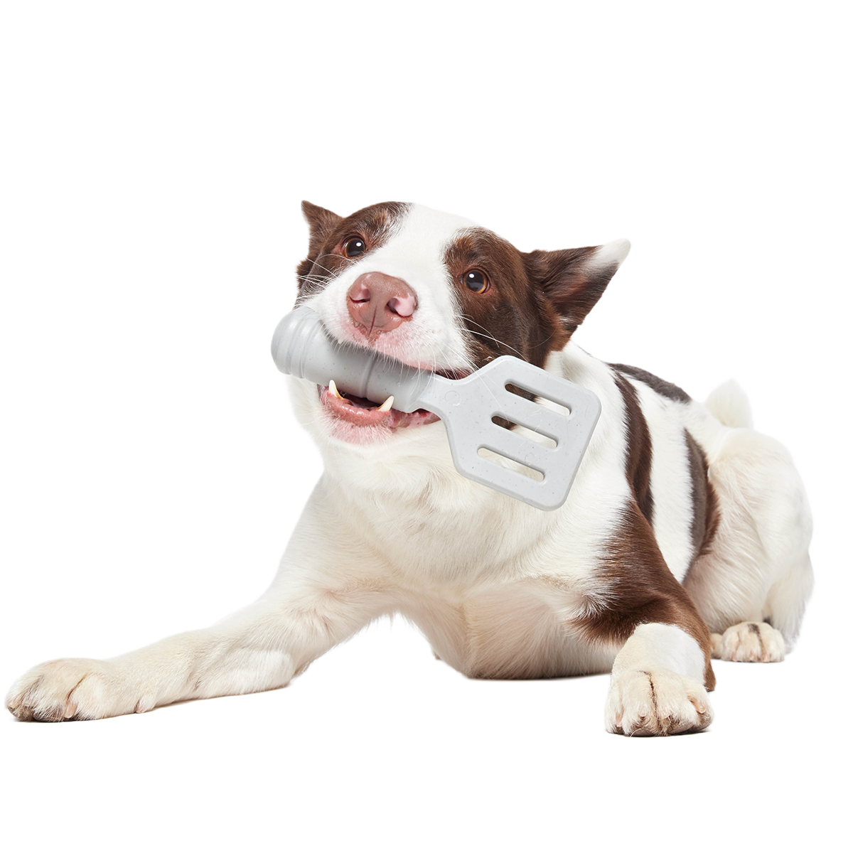 Flip It Good Spatula Super Chewer Durable Gnaw Dog Toy - Image 2