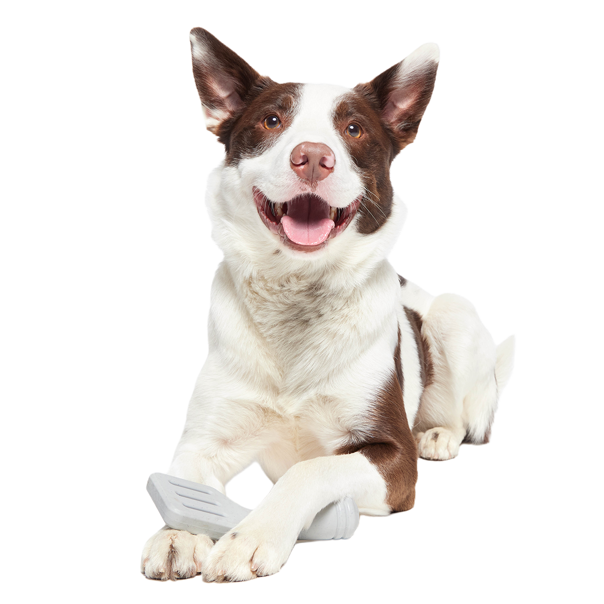 Flip It Good Spatula Super Chewer Durable Gnaw Dog Toy - Image 4