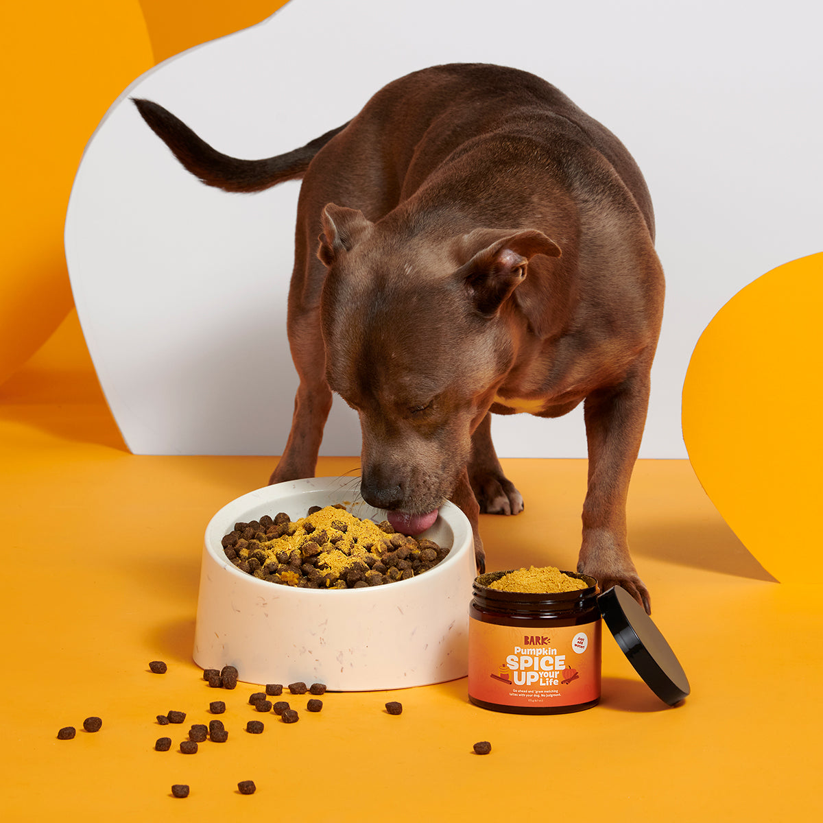 Pumpkin Spice. And Everything Nice Vegetarian Dog Food Meal Topper. 6.1 oz - Image 3