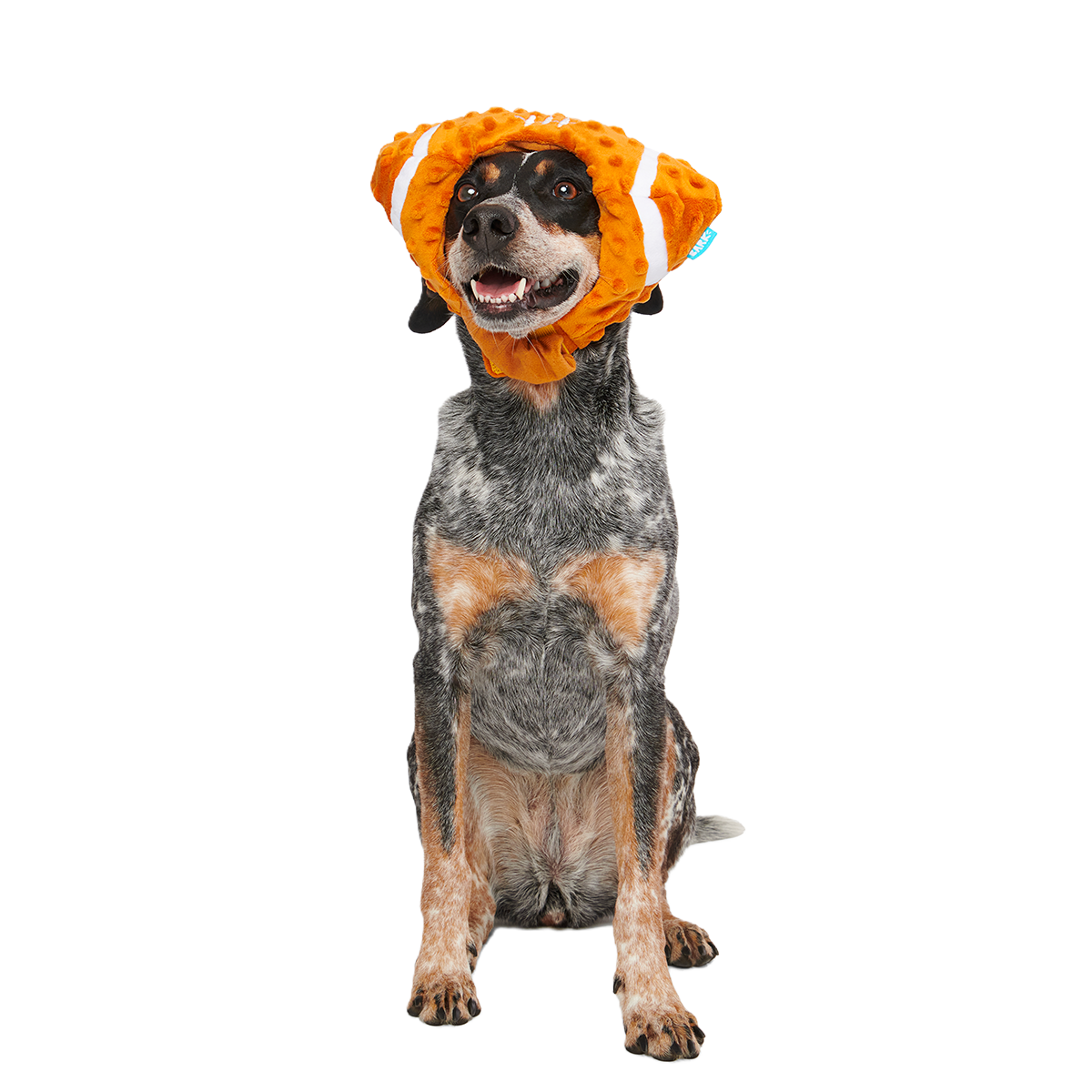 Football Head Plush Wearable Dog Toy - Image 5