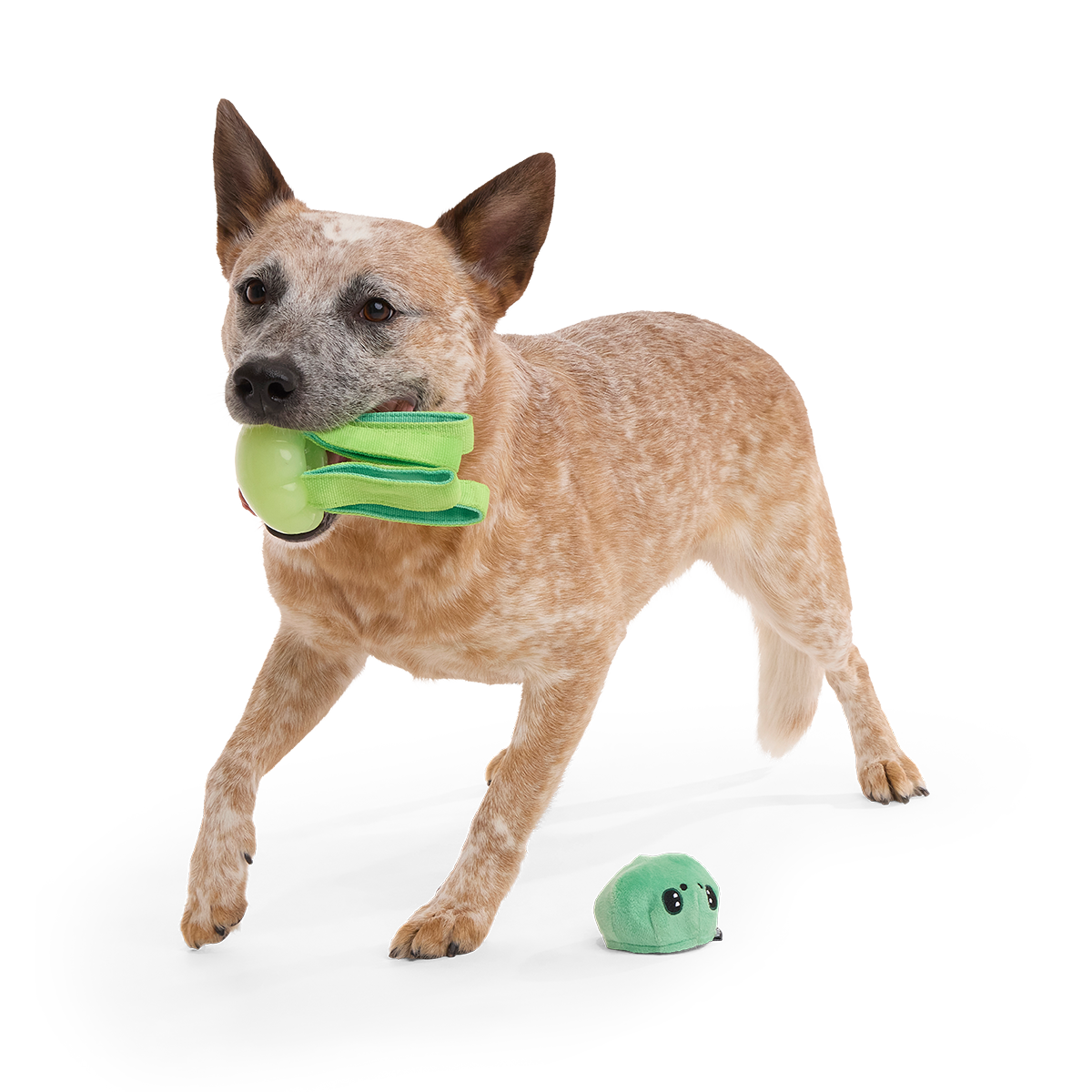 Galactopus Super Chewer Durable 2-in-1 + Tug Dog Toy - Image 3