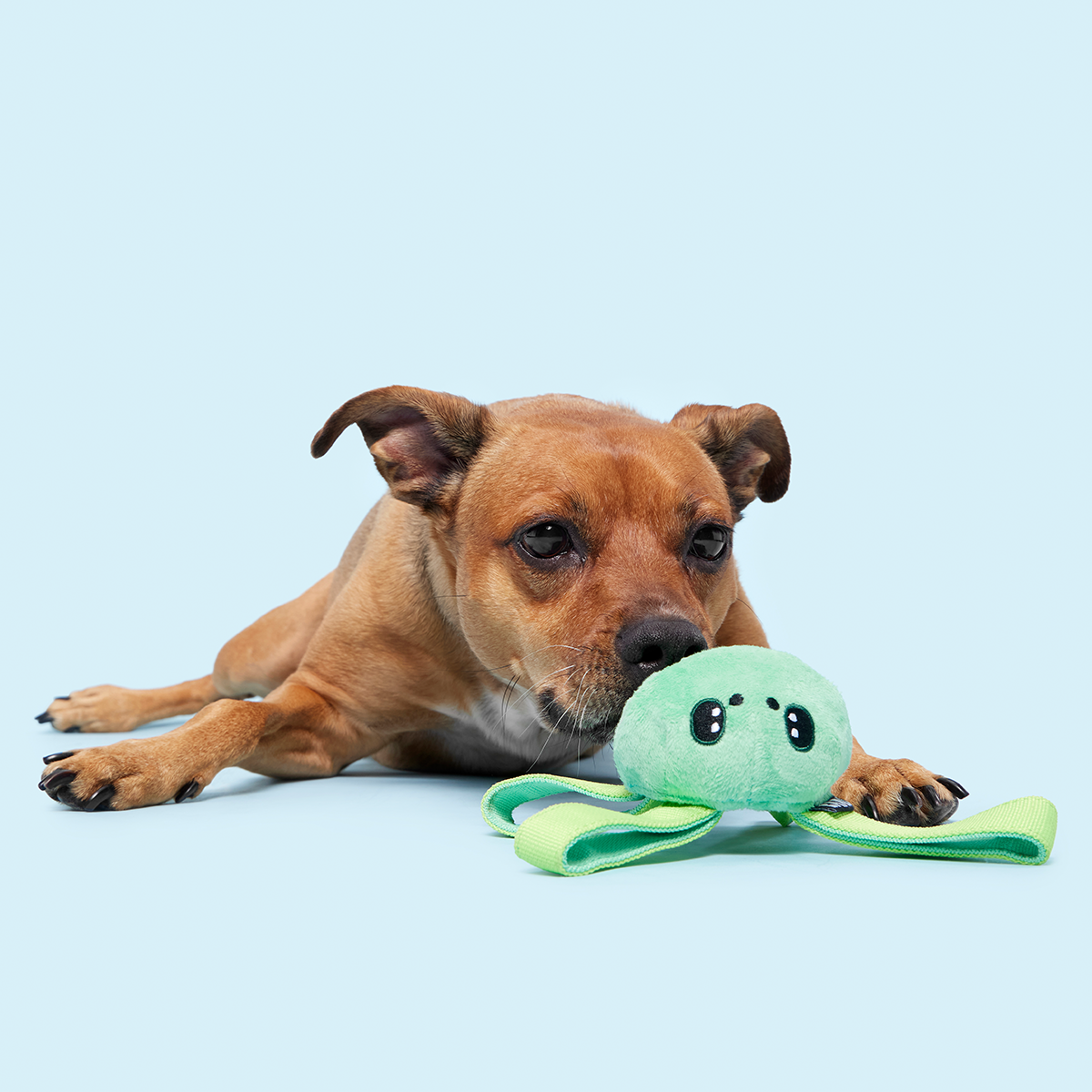 Galactopus Super Chewer Durable 2-in-1 + Tug Dog Toy - Image 6