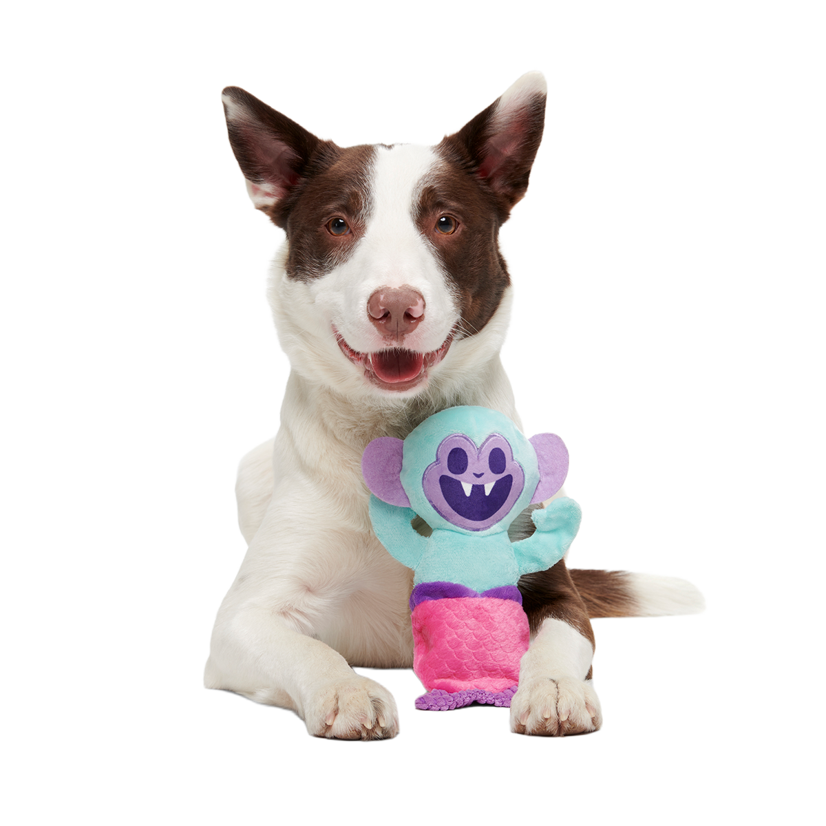 Gigi the Fiji Mermaid Plush Multi-Part + Enrichment Dog Toy - Image 4