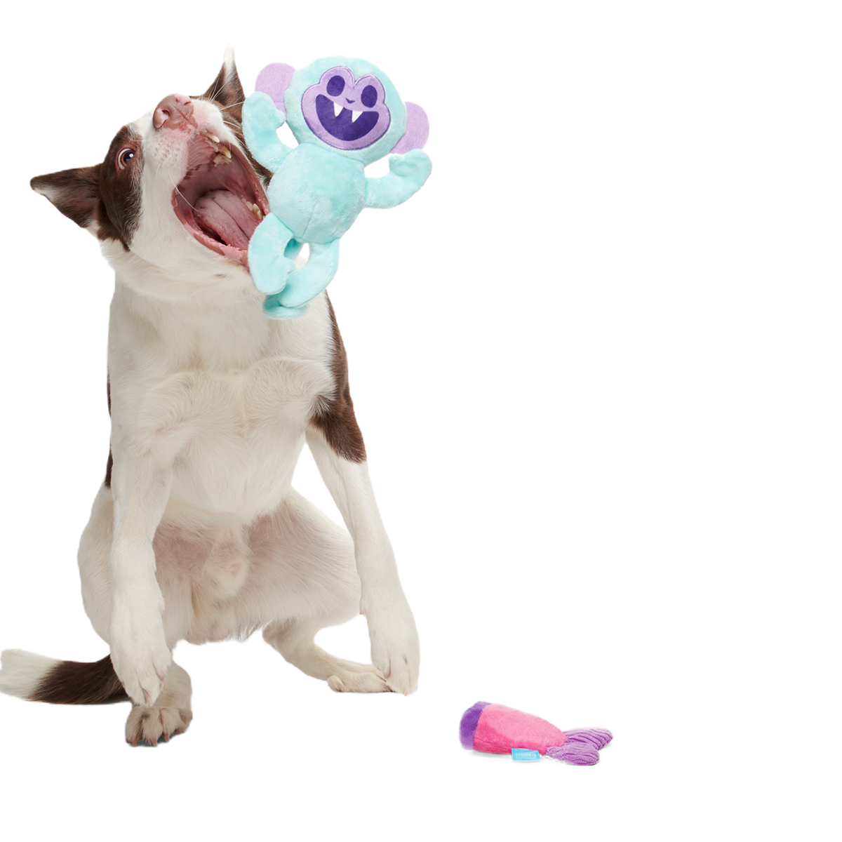 Gigi the Fiji Mermaid Plush Multi-Part + Enrichment Dog Toy - Image 5