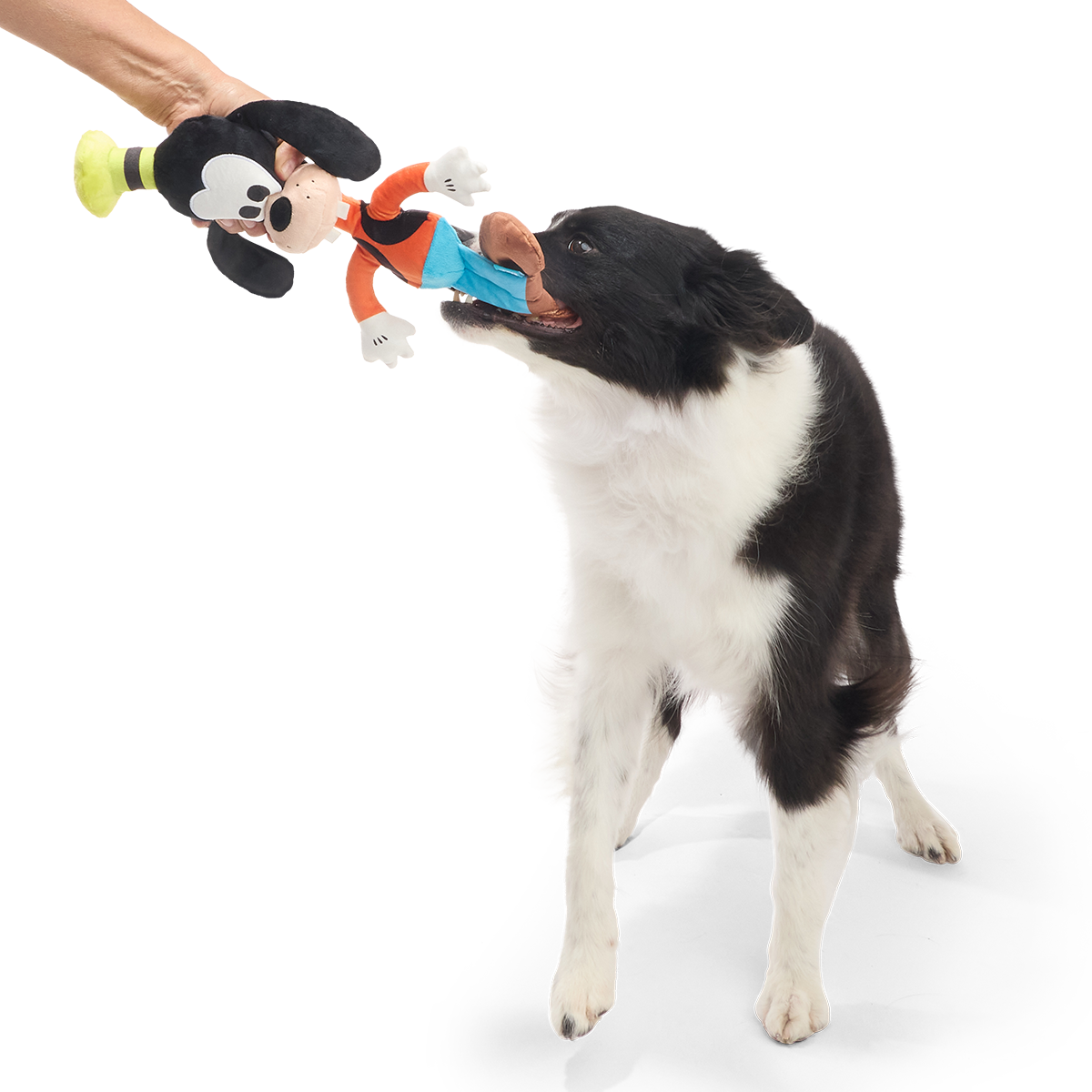 Ginormous Goofy Plush Extra-Large + Tug Dog Toy - Image 3