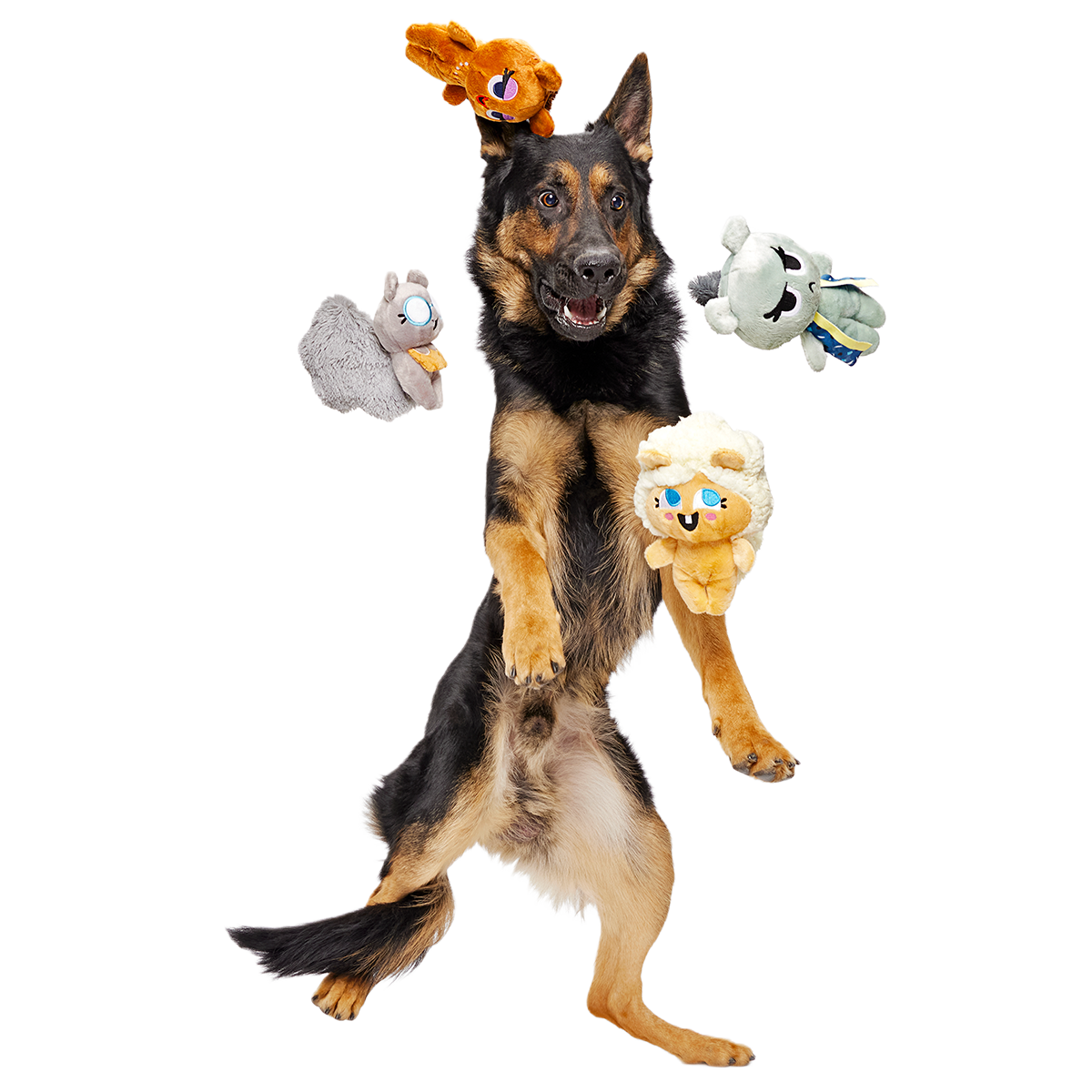 Golden Squirrels Plush Multi-Part Dog Toy - Image 4