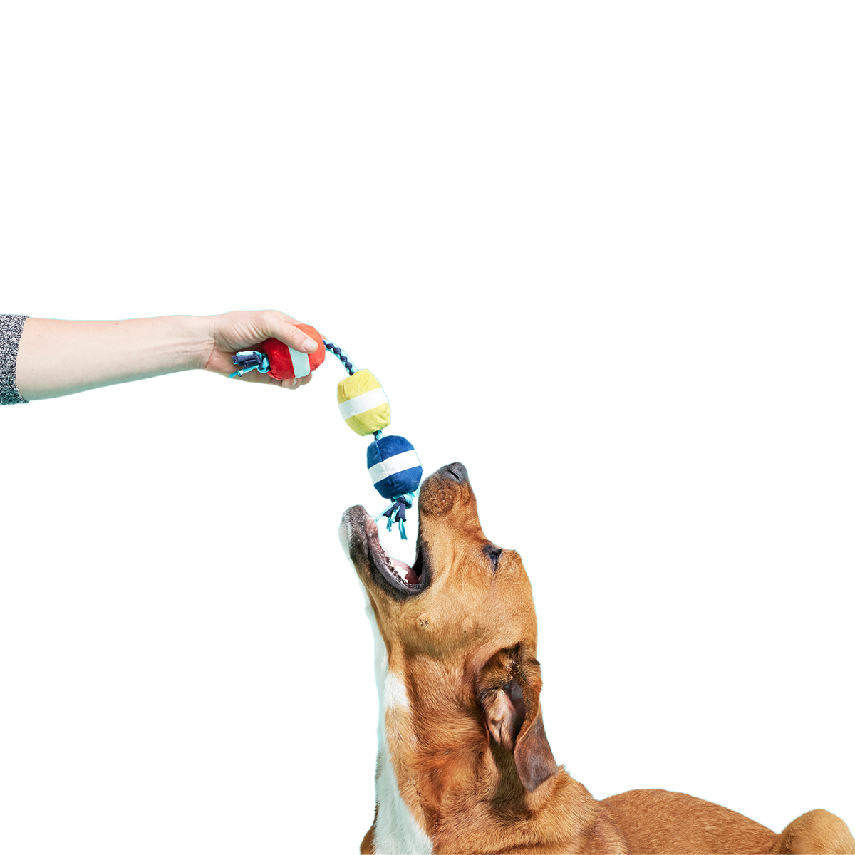 Good Buoys Plush Tug Dog Toy - Image 2