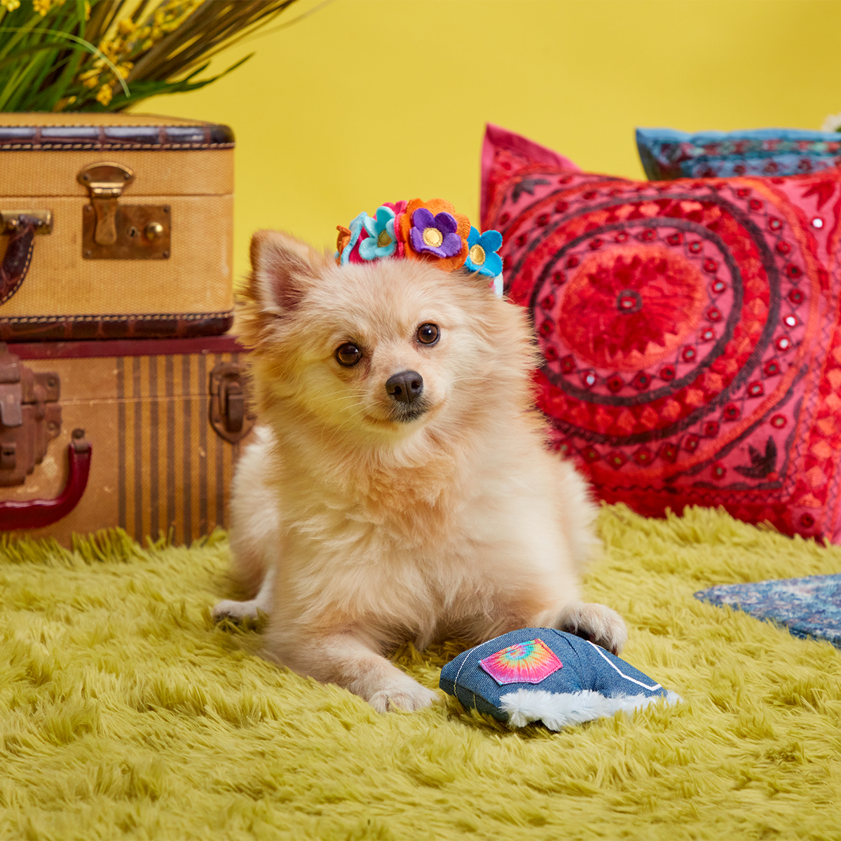 Grrroovy Threads Plush Multi-Part + Wearable Dog Toy - Image 2