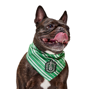 HARRY POTTER™ House Dog Bandana
