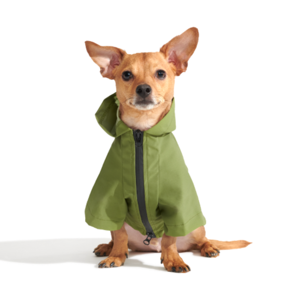 The Dry Dog Raincoat - Image 3