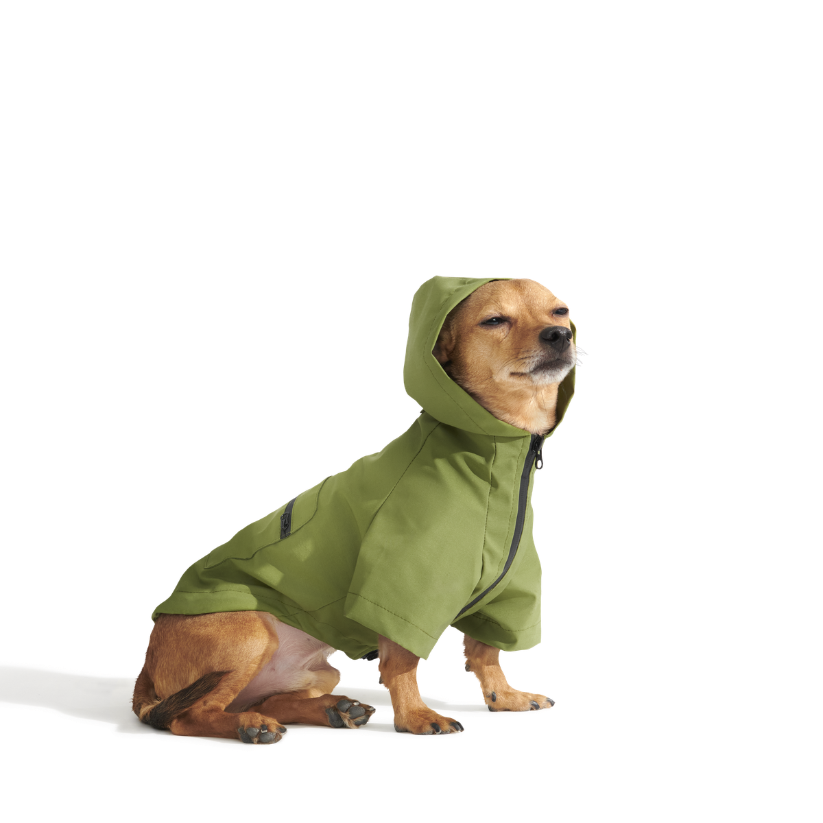 The Dry Dog Raincoat - Image 11