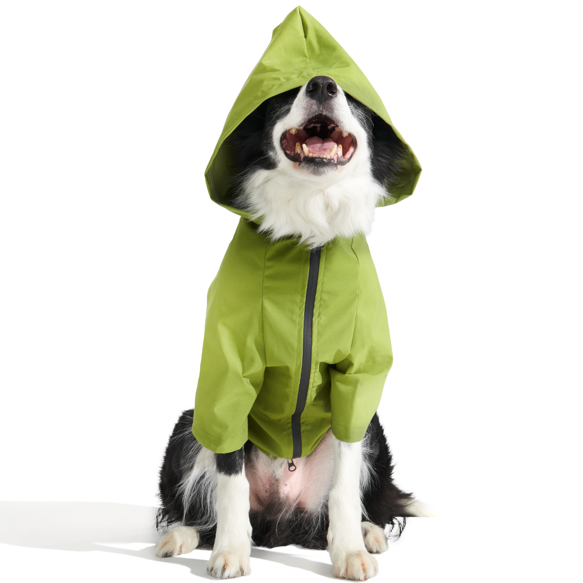 The Dry Dog Raincoat - Image 2
