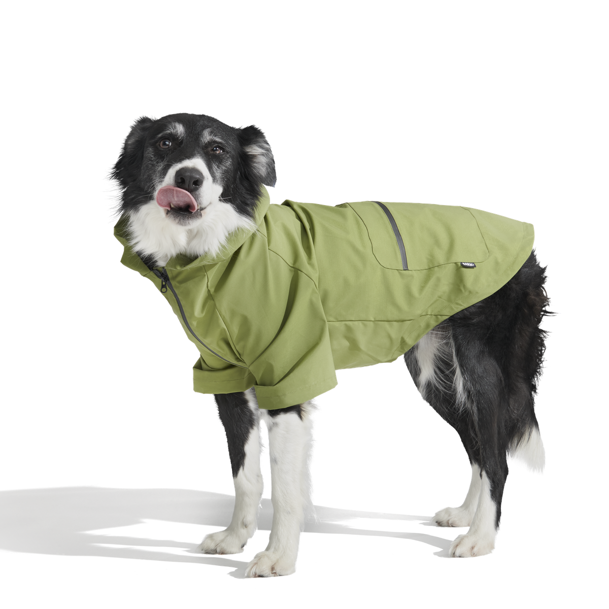The Dry Dog Raincoat - Image 13