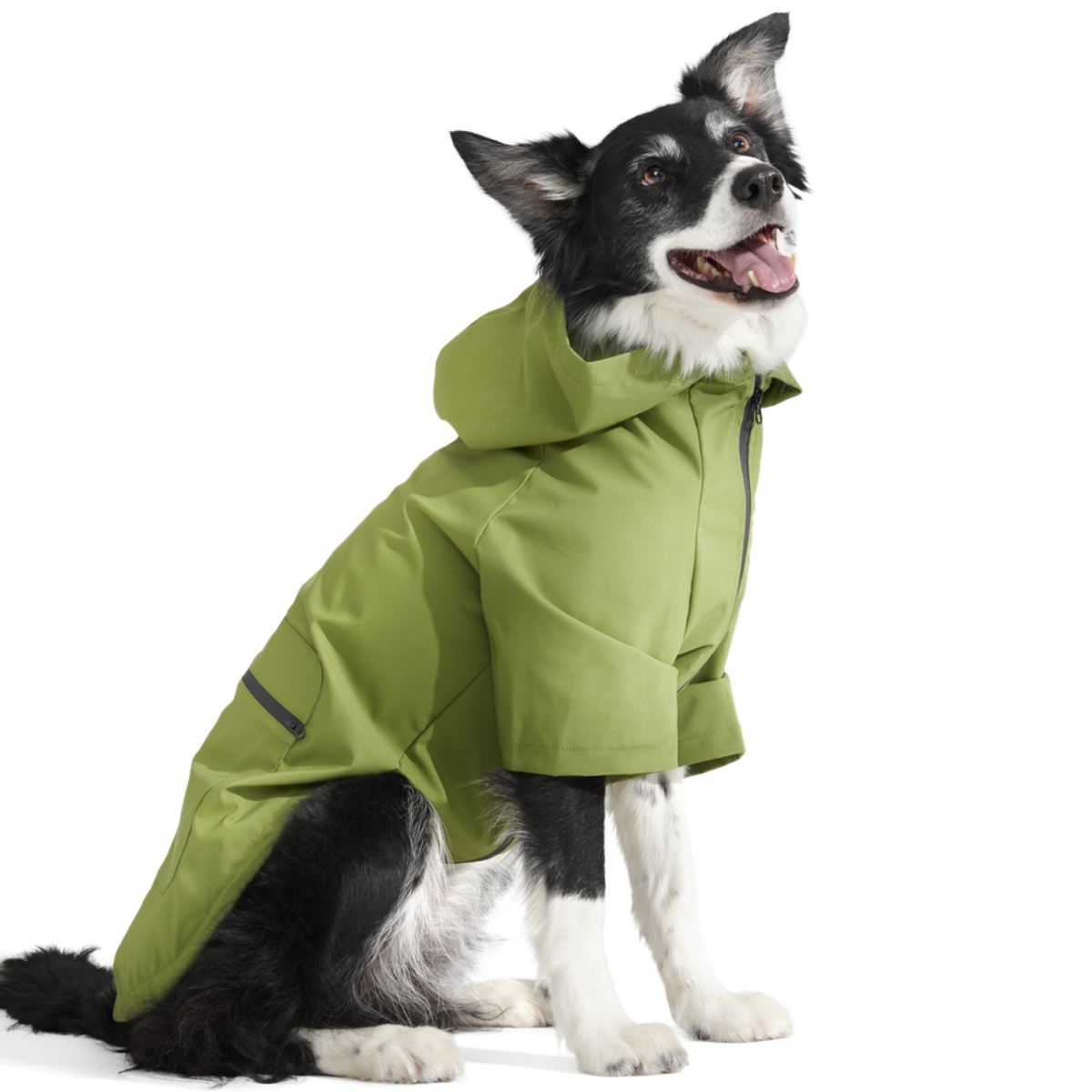 The Dry Dog Raincoat - Image 9