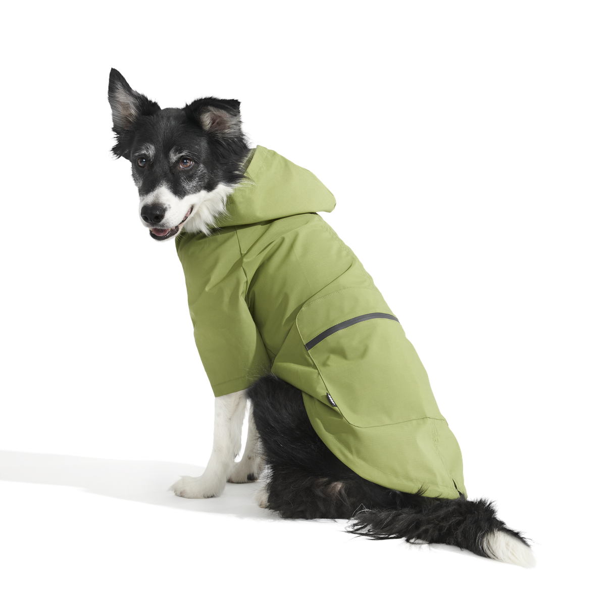 The Dry Dog Raincoat - Image 12