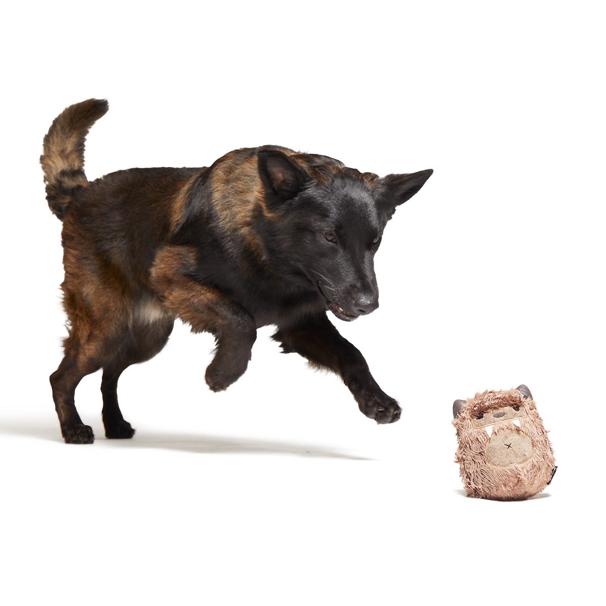 Hairwolf Super Chewer Durable 2-in-1 + Enrichment Dog Toy - Image 3