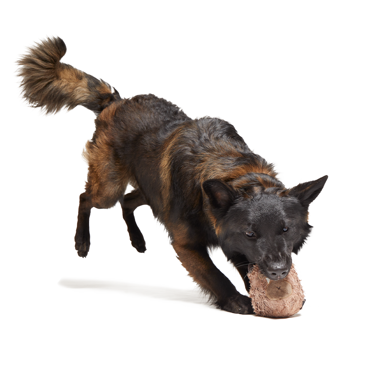 Hairwolf Super Chewer Durable 2-in-1 + Enrichment Dog Toy - Image 4