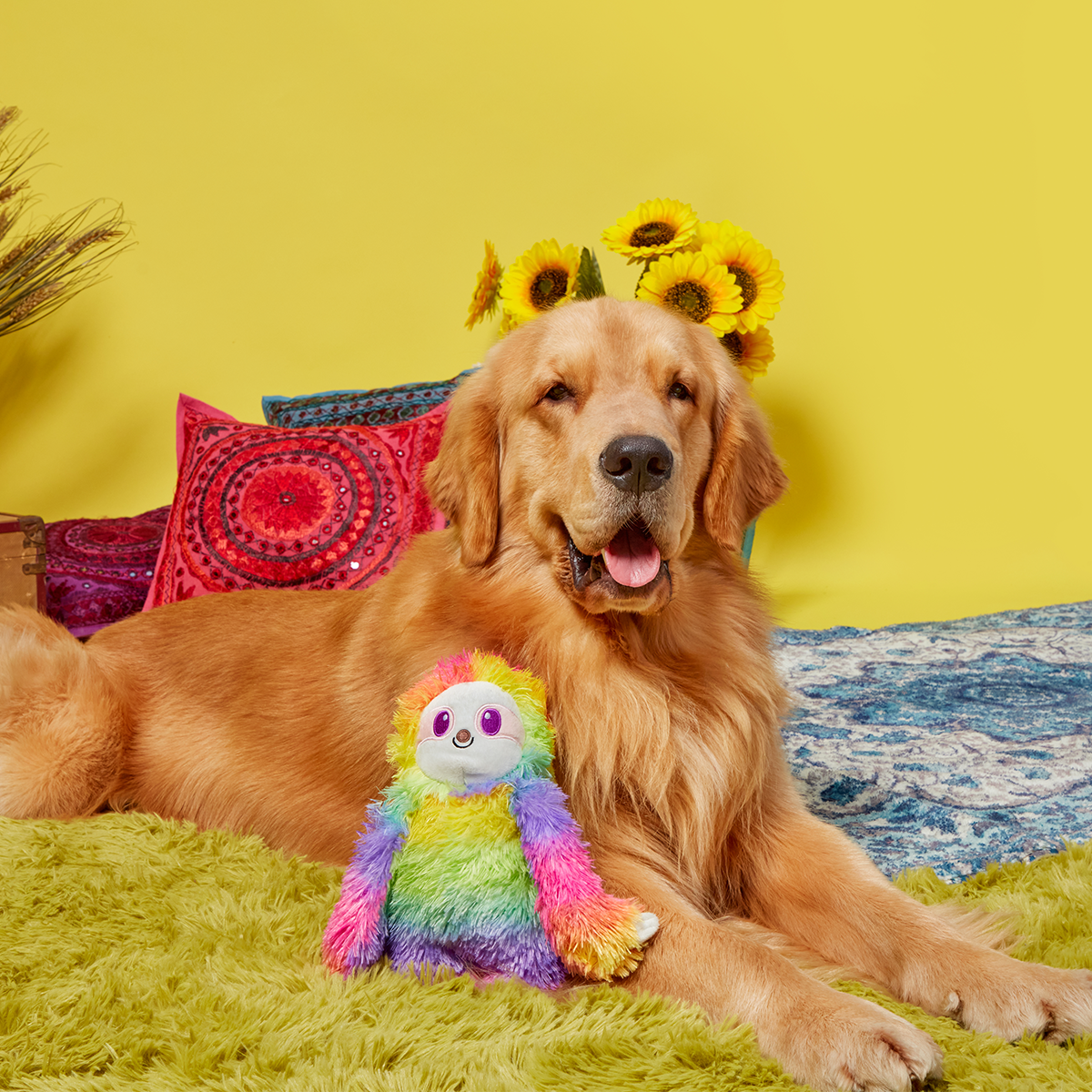 Hairy Garcia Plush Tug Dog Toy - Image 3