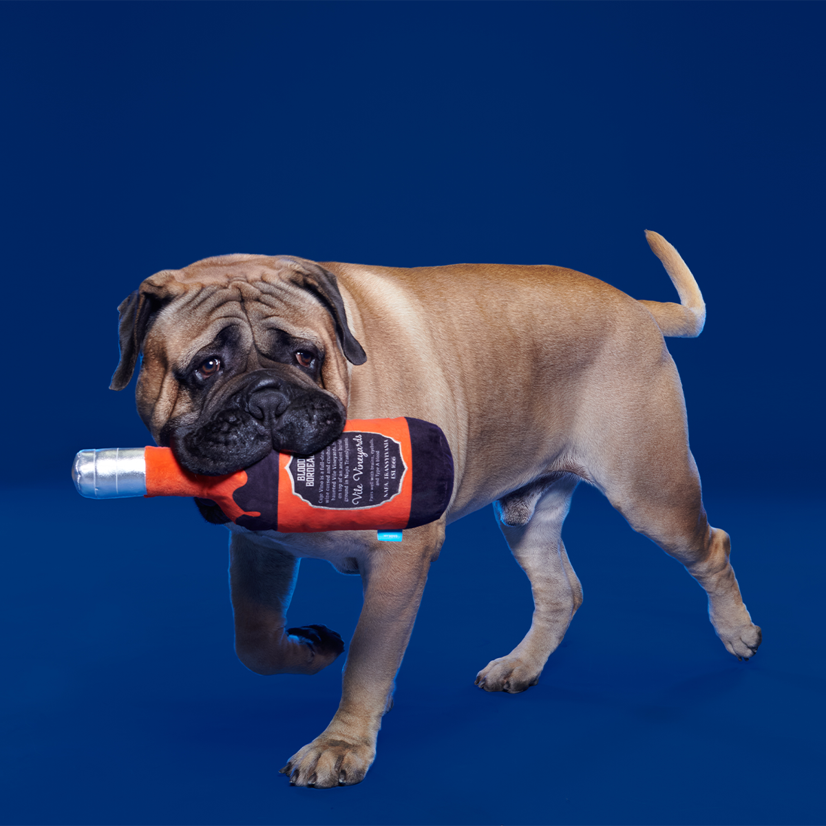 Hallowine Plush Extra-Large + Tug Dog Toy - Image 4