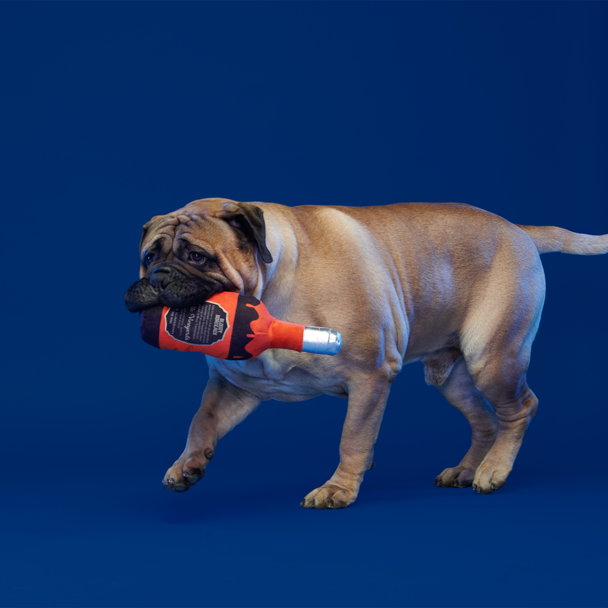 Hallowine Plush Extra-Large + Tug Dog Toy - Image 3