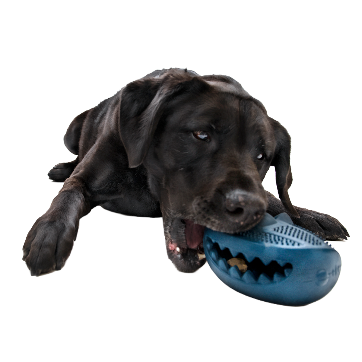 Hammer Fed Shark Super Chewer Durable Enrichment Dog Toy - Image 2