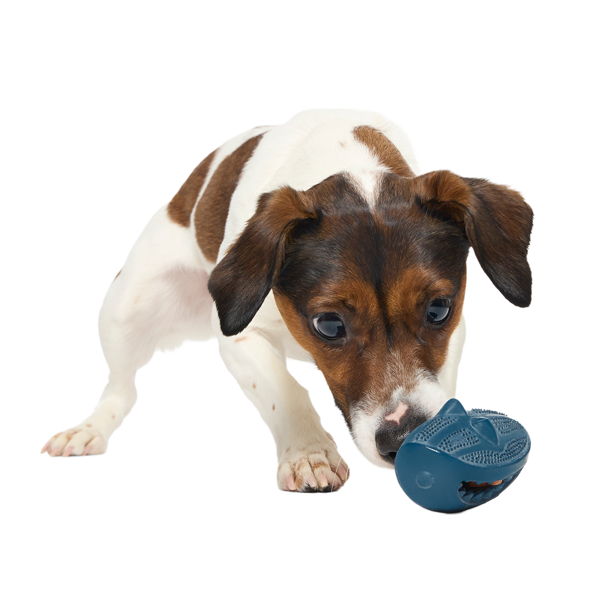 Hammer Fed Shark Super Chewer Durable Enrichment Dog Toy - Image 6