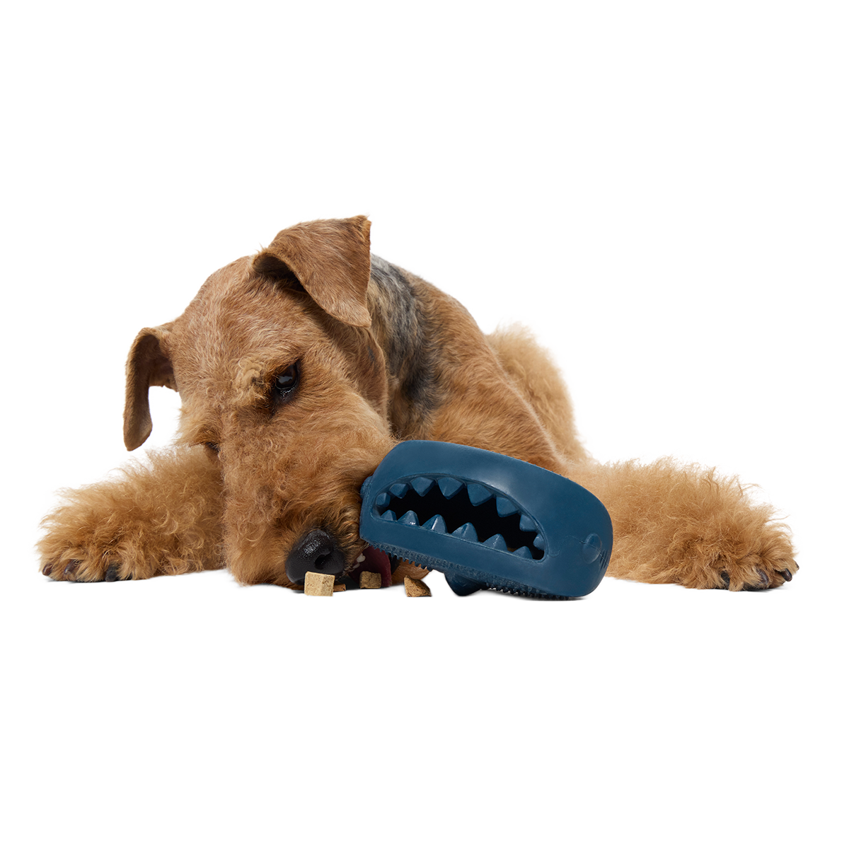 Hammer Fed Shark Super Chewer Durable Enrichment Dog Toy - Image 4