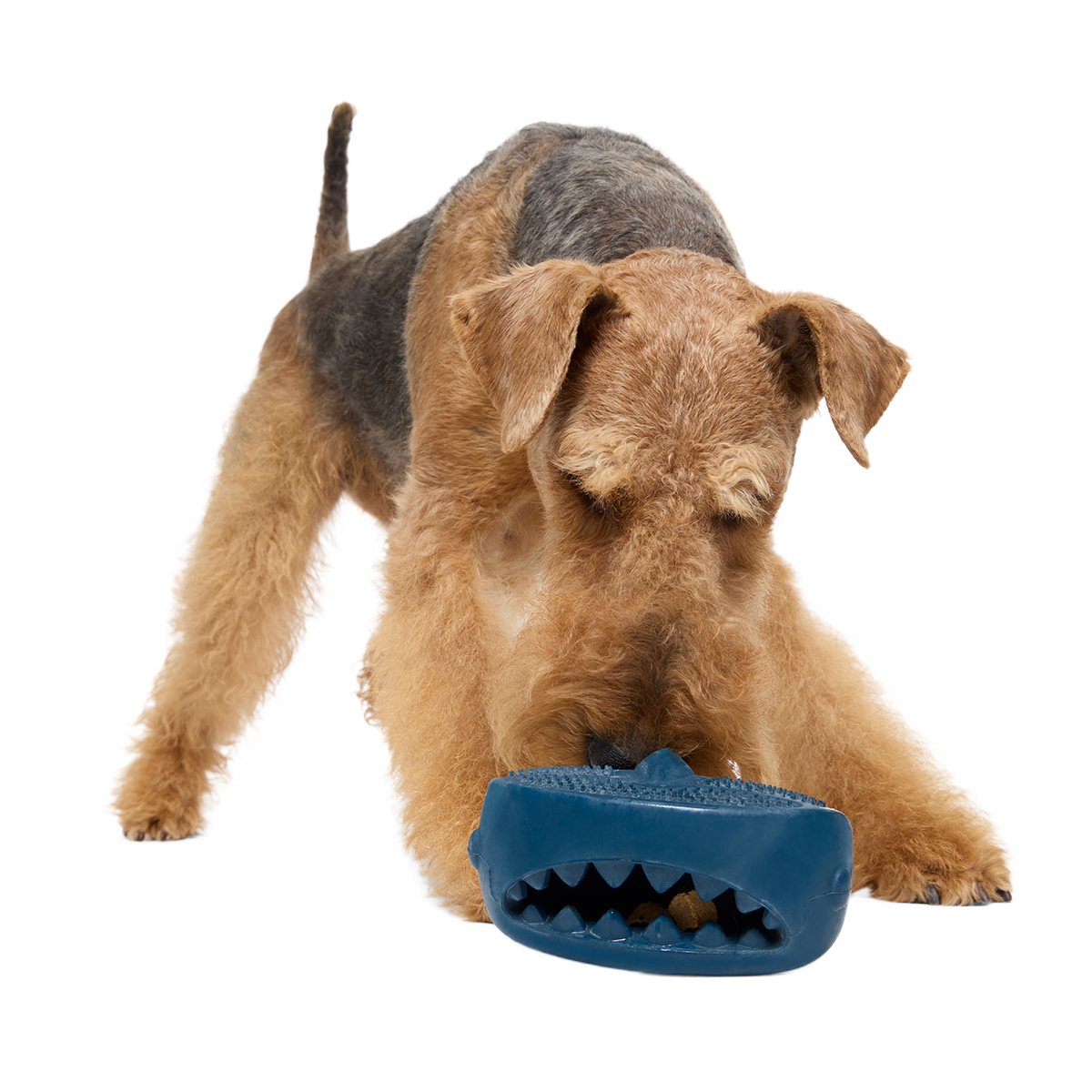 Hammer Fed Shark Super Chewer Durable Enrichment Dog Toy - Image 3