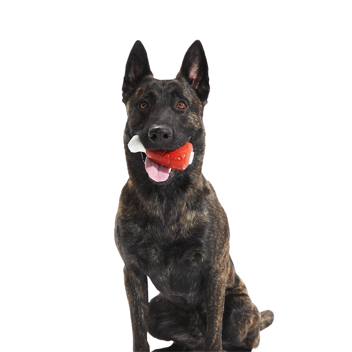 Hardy Ham Super Chewer Durable Gnaw Dog Toy - Image 5