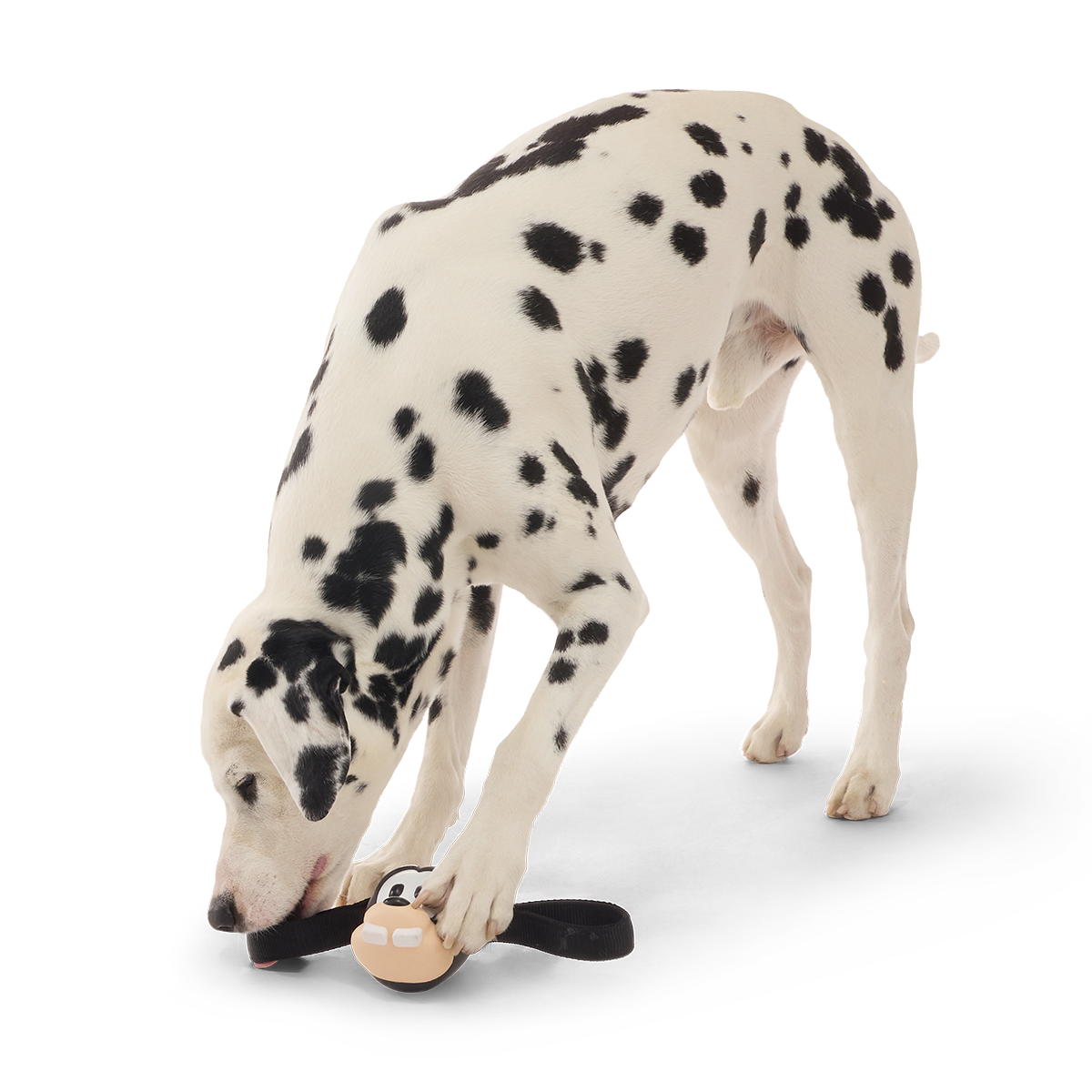 Hats Off Goofy Super Chewer Durable Tug Dog Toy - Image 4
