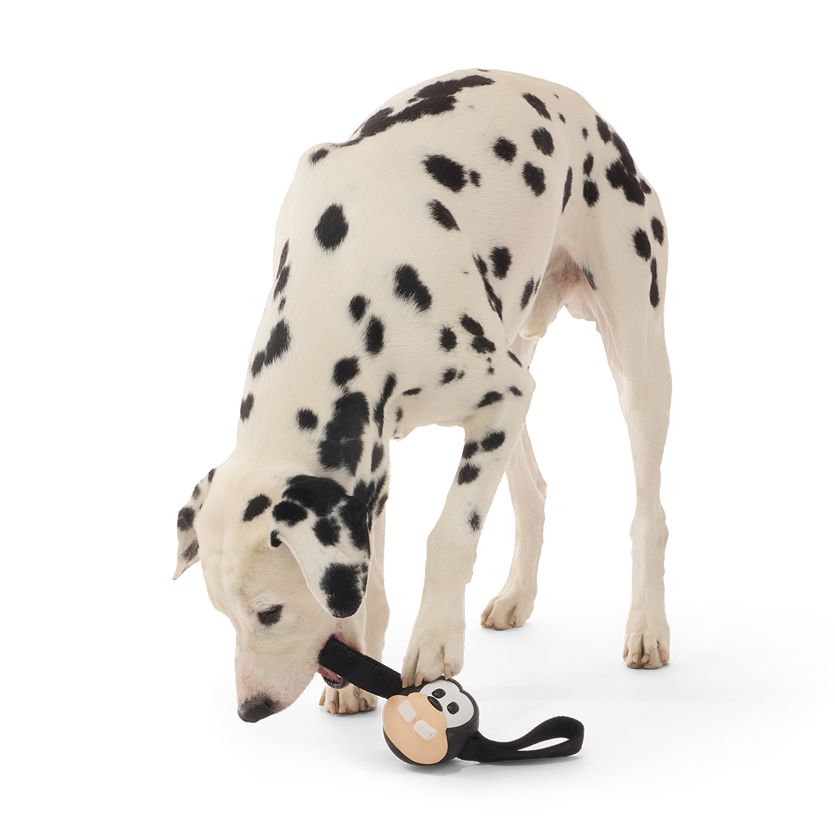 Hats Off Goofy Super Chewer Durable Tug Dog Toy - Image 3
