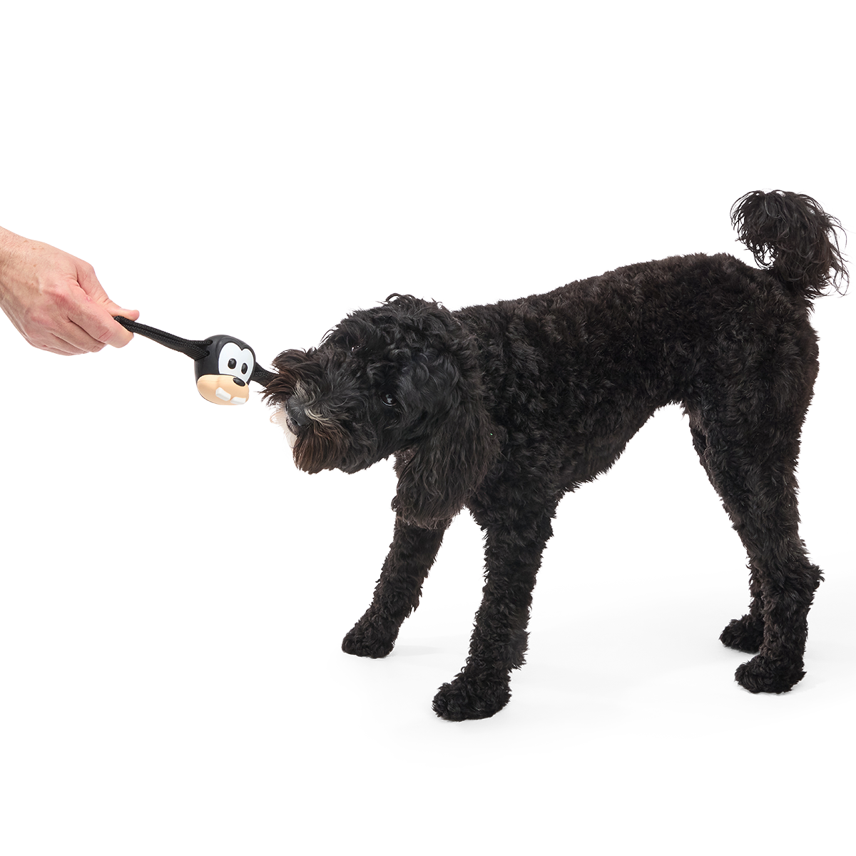Hats Off Goofy Super Chewer Durable Tug Dog Toy - Image 2