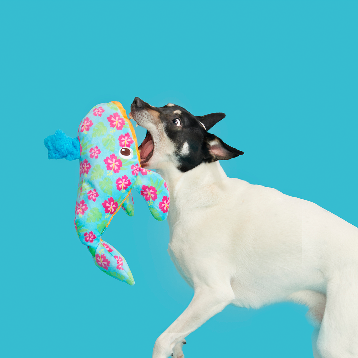 Hawaiian Humpbark Whale Plush Tug + Extra-Large Dog Toy - Image 6