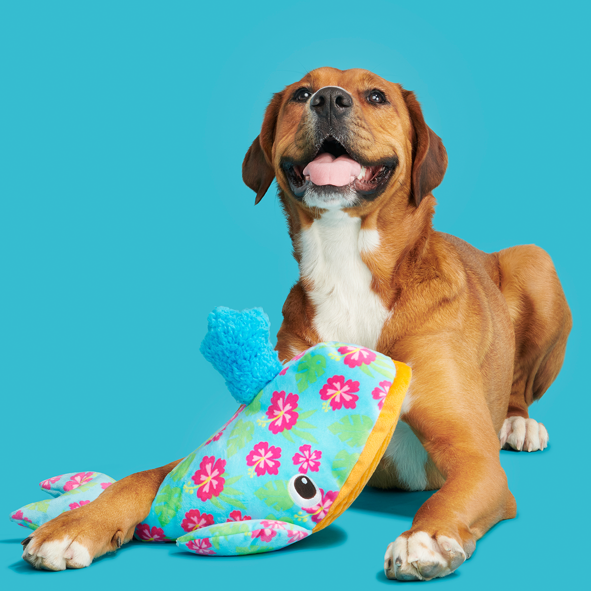 Hawaiian Humpbark Whale Plush Tug + Extra-Large Dog Toy - Image 8