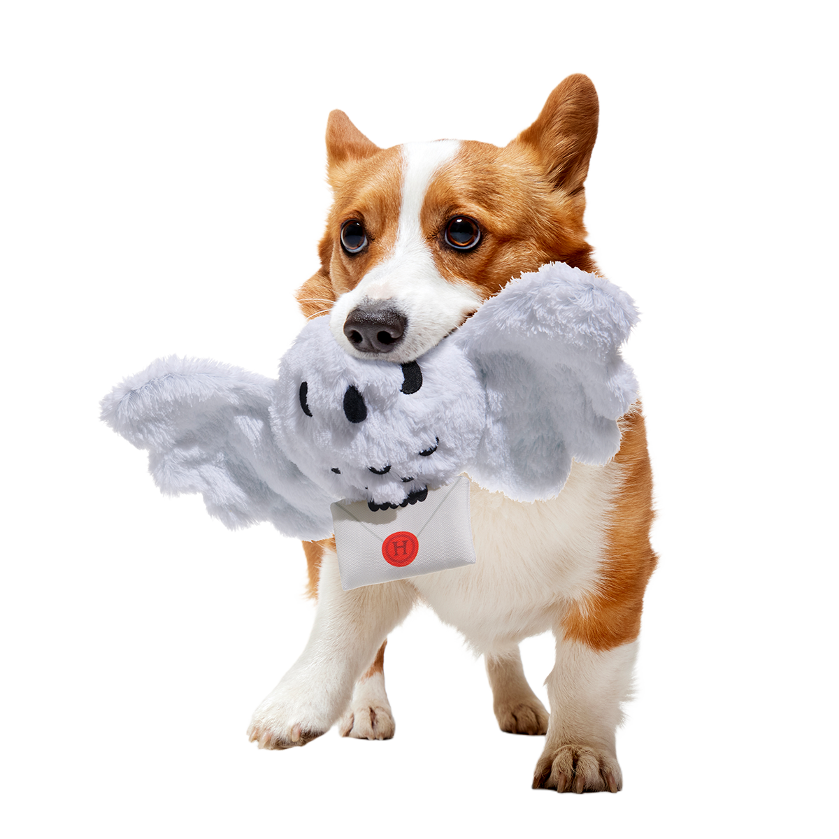 Hedwig™ Plush Tug Dog Toy - Image 3