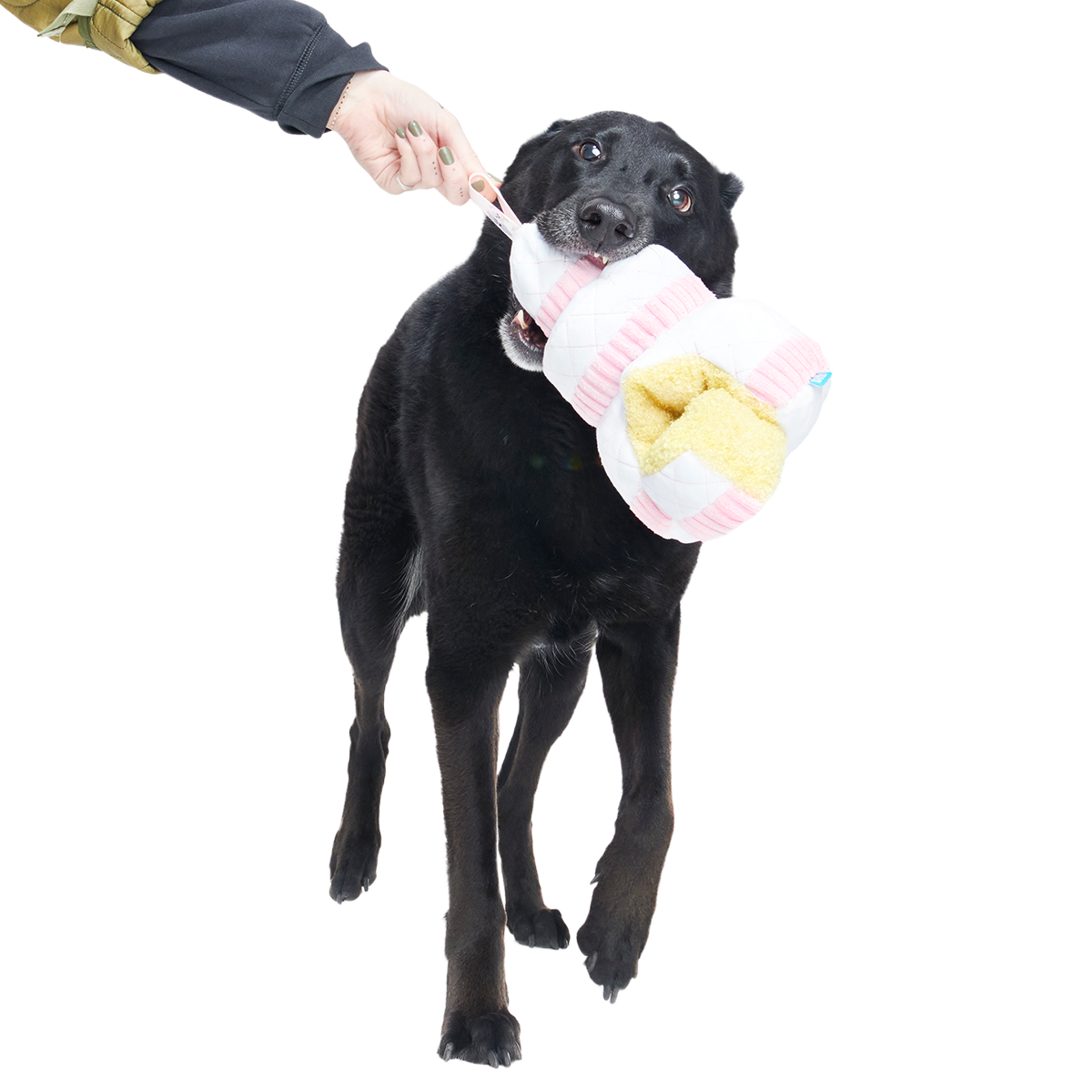 Holy Ratrimony Plush Multi-Part + Enrichment Dog Toy - Image 2