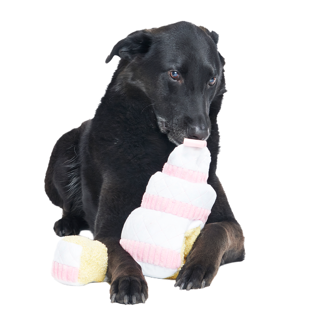 Holy Ratrimony Plush Multi-Part + Enrichment Dog Toy - Image 4